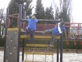 Afbeelding 206
